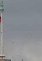 7f386d2bf983.jpg