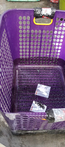 WhatsApp Image 2026 04 08 at 10.05.09.jpg