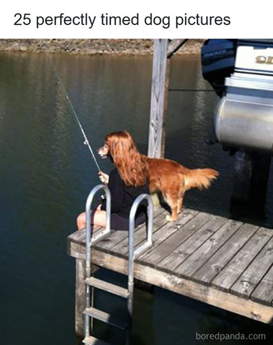 perect timing pics.jpg