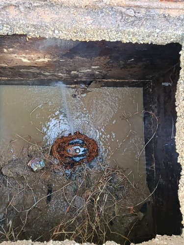 WhatsApp Image 2026 04 08 at 11.00.19 AM.jpg