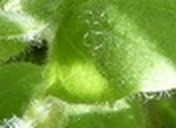 f5038385a294.jpg