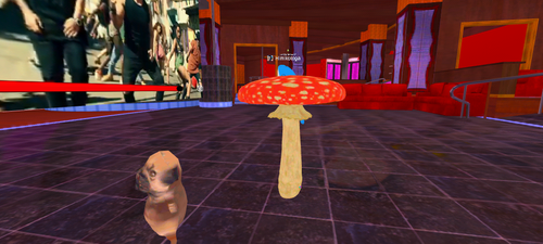 imagen.png