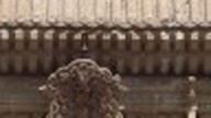 dd8185ffcd90.jpg
