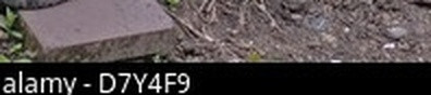 eebda93f463d.jpg