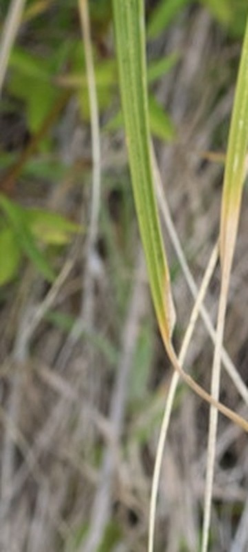 bd6965282f10.jpg