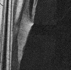 ef7b76880ba0.jpg