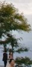 ef99febc095b.jpg