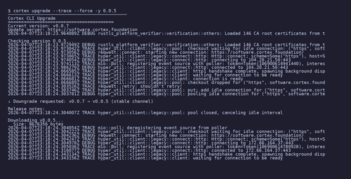 gen 0020 cli 20260407 183324.png