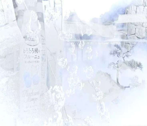1000066671.jpg