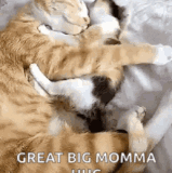 big hug.gif