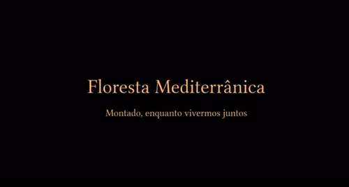 Montado capa.png
