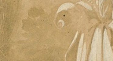 16c66302931f.jpg
