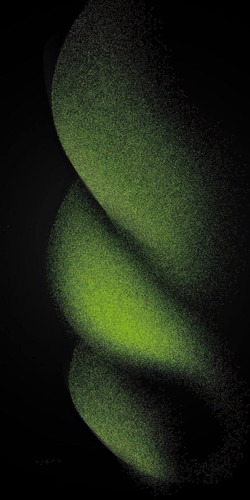 IMG 4517.jpg