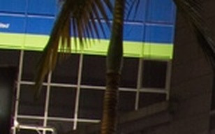 ba7e59b8d79e.jpg