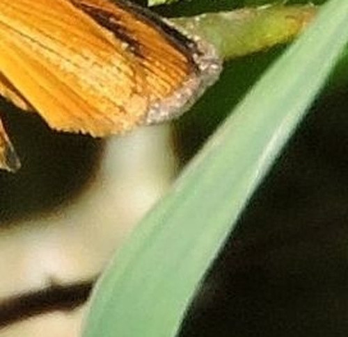 8eab6dbeaa18.jpg
