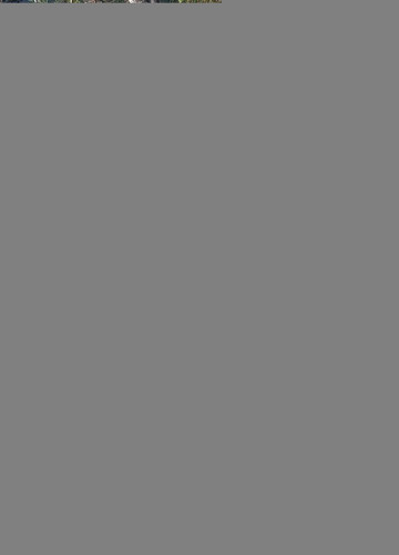 0cfd6345bca0bb7cf264c92291d45d6b.jpg