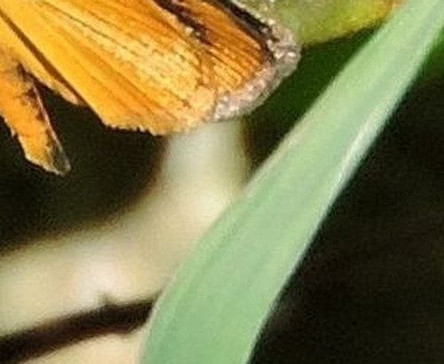 f049d8e7c5e8.jpg