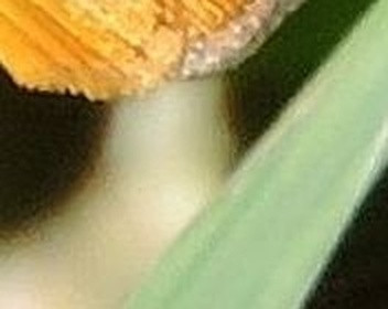 c29735e9dc0e.jpg