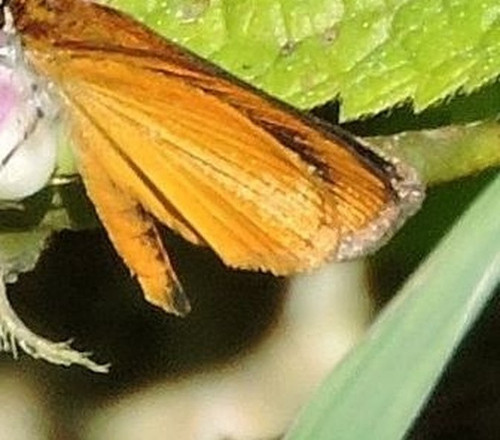 6abd32bebcf0.jpg