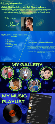 Zakky Chan's Website.png