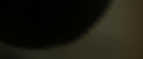 vlcsnap 2026 05 06 07h14m31s532.png