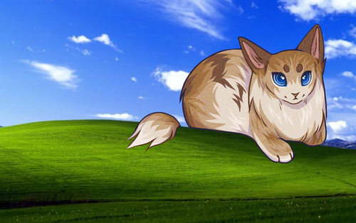 IMG 20260506 160743.png
