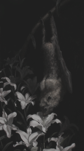 4d7557e637d5e3a527455425e3db7165.png