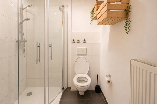 12c Badezimmer WC Deko.png