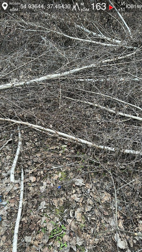 photo.jpg