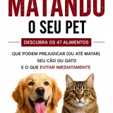 366bf7660d62.webp