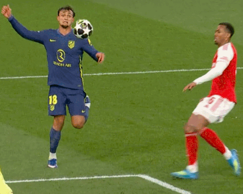 foul.gif