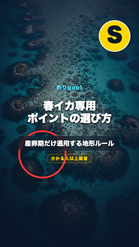 b804fa11c967.png