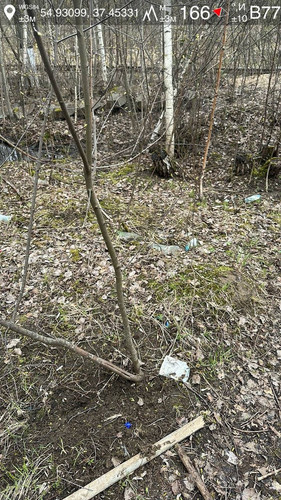 photo.jpg