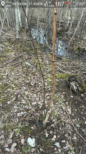 photo.jpg