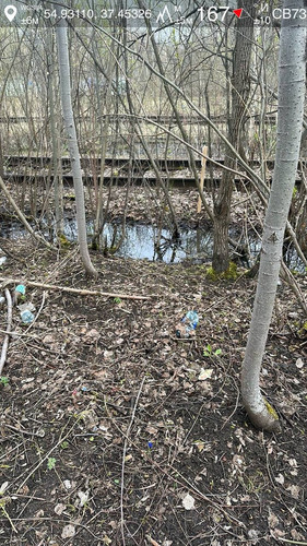 photo.jpg