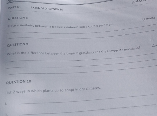temp.png