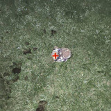 IMG 20260507 051723 2.jpg