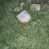 IMG 20260507 051723 6.jpg
