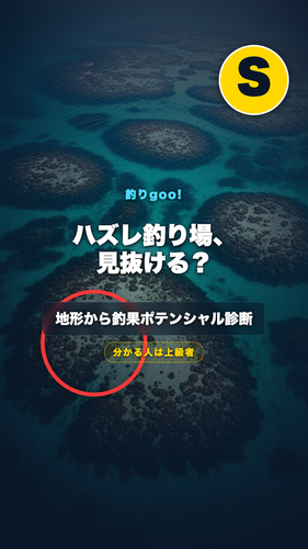 d877c397db6b.png