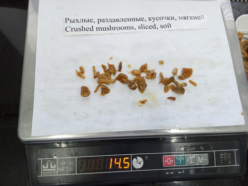 IMG 20260427 125510.jpg