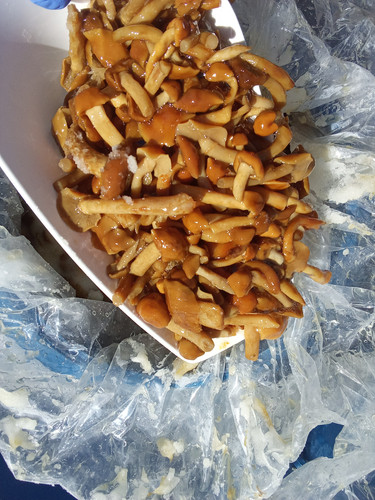 IMG 20260427 114459.jpg
