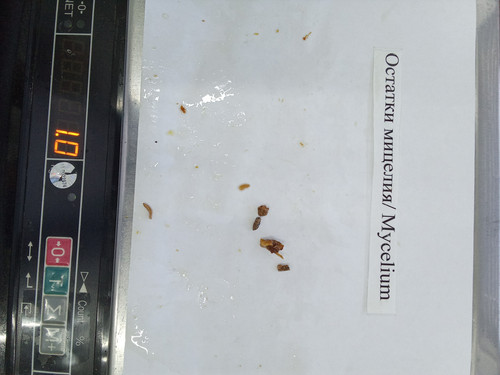 IMG 20260427 125643.jpg