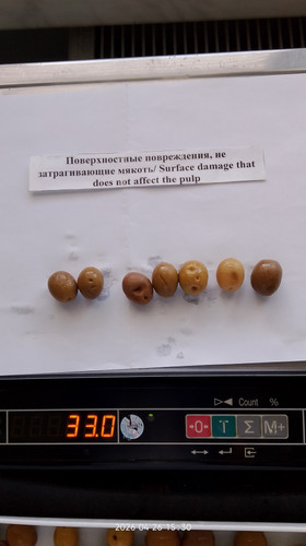 IMG 20260426 153051.jpg