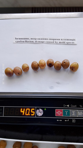 IMG 20260426 152537.jpg