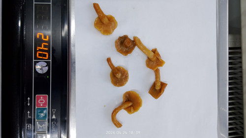 IMG 20260424 183956.jpg