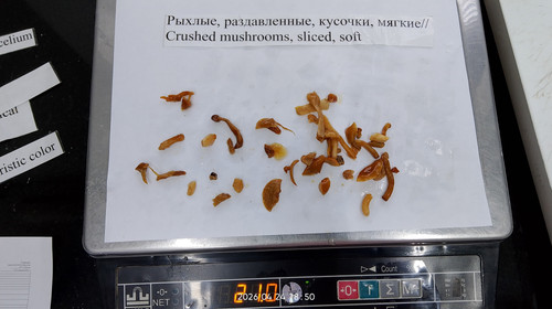 IMG 20260424 185003.jpg