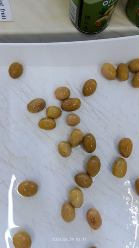 IMG 20260429 101132.jpg