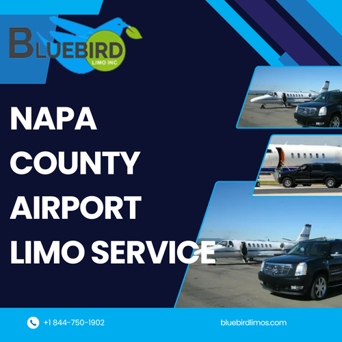 Grey Illustrative Airport Transfer Chauffeur Service Instagram Post.png