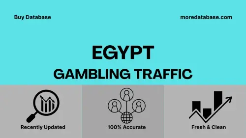 imageye imgi 39 Egypt Gambling Traffic.webp