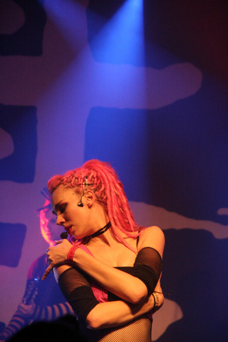 IMG 0829.jpg